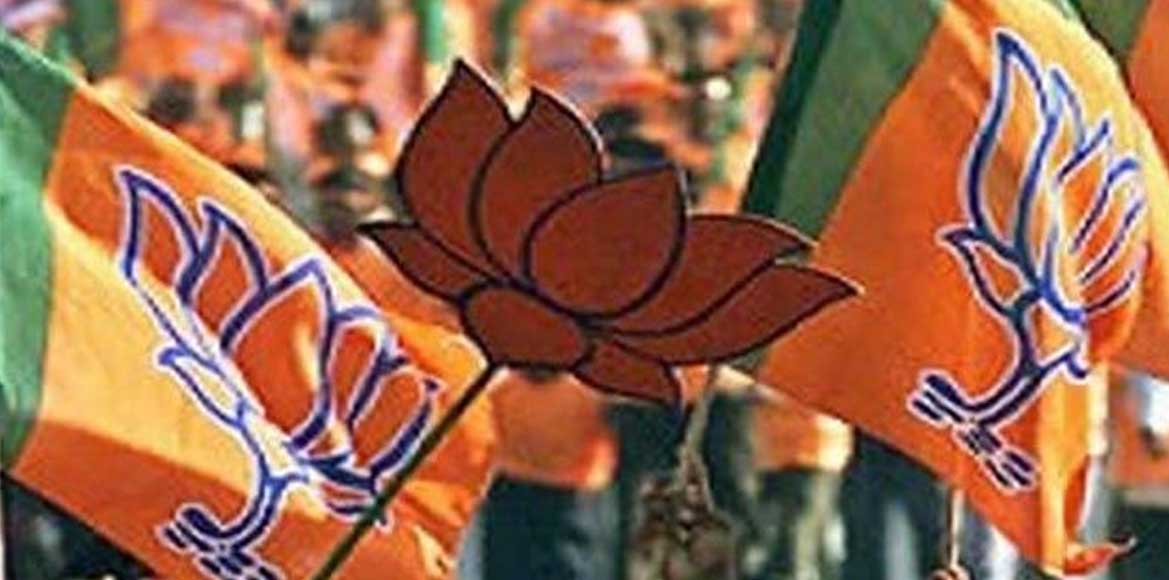 रूपकुमारी चौधरी या पुरंदर मिश्रा हो सकते है बीजेपी के संभावि... - CG Sandesh