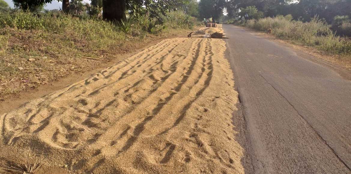 ब्यारे के अभाव में ग्रामीणों ने सड़क को ही बना दिया ब्यारा, र... - CG Sandesh