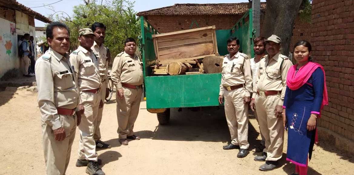 पिथौरा - 27 हजार की इमारती लकड़ी जब्त - CG Sandesh