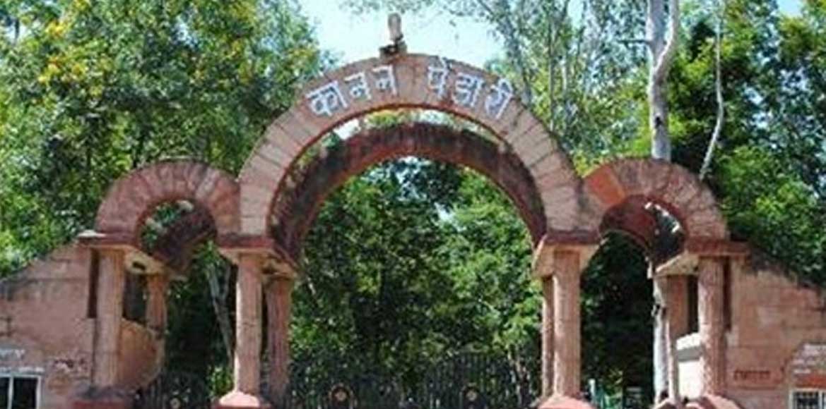 त्रिपुरा से कानन पिंडारी आएंगे हिमालयन भालू व केट लेपर्ड - CG Sandesh