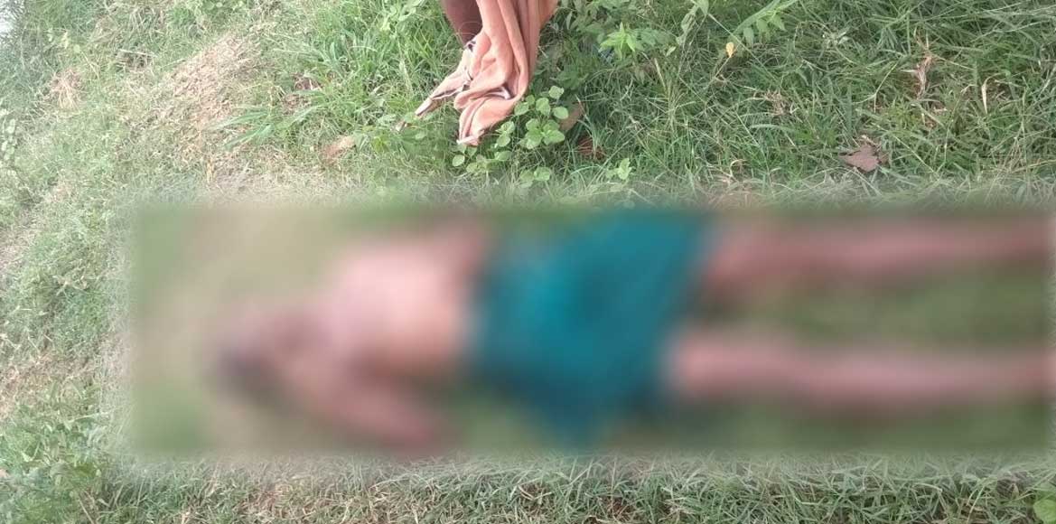 बसना : विधुत वायर के चपेट में आने से हुई मौत - CG Sandesh