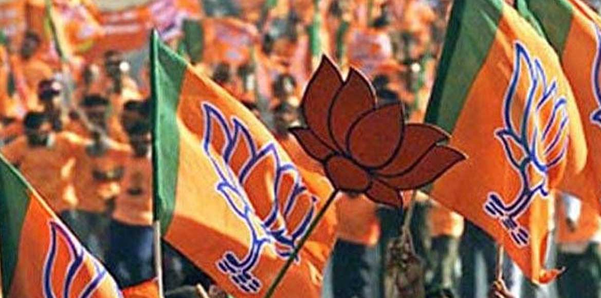 बसना विधानसभा से भाजपा के चार दावेदार, किसी एक को देगी पार्ट... - CG Sandesh