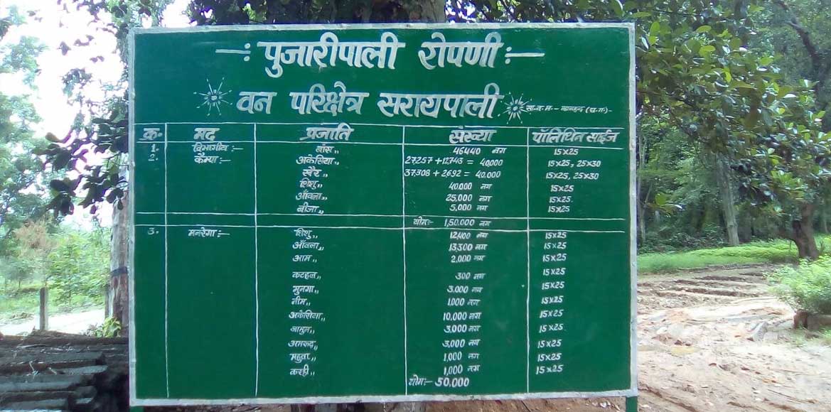 सरायपाली : रोपण हेतु बांटें जा रहे नि:शुल्क पौधे - CG Sandesh