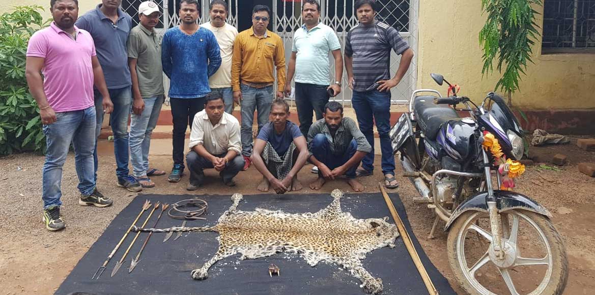 तेंदुआ के शिकार कर खाल व दाँत के बेचने की फिराक में घूम रहे ... - CG Sandesh