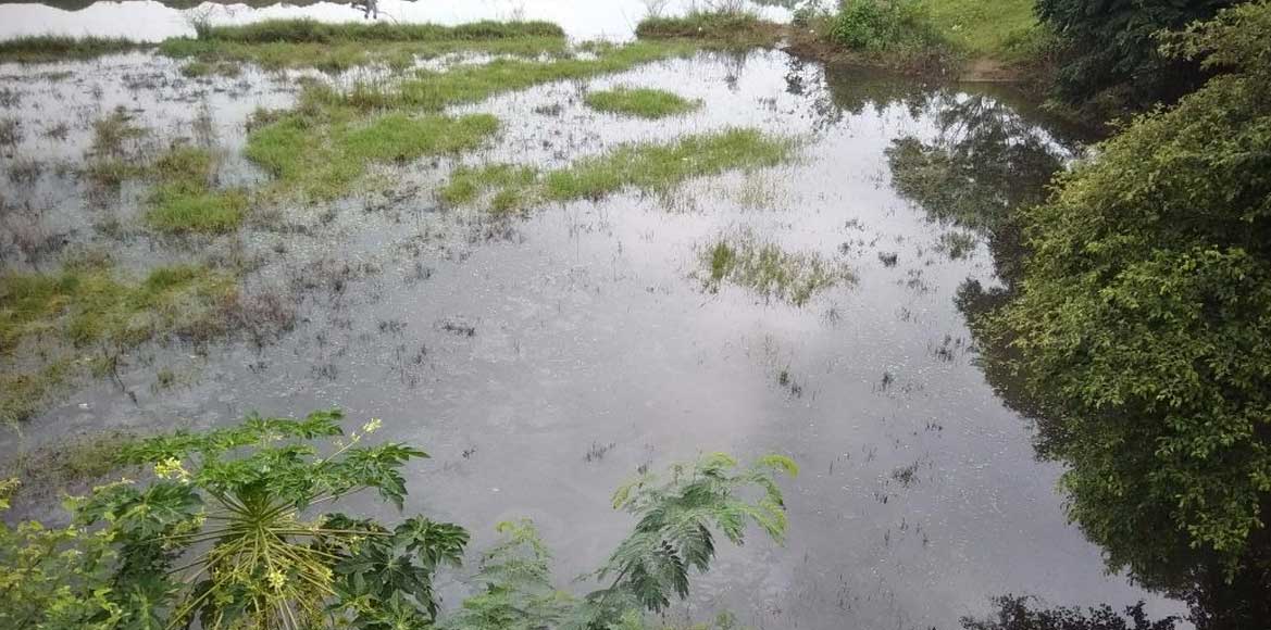 खाली प्लाट पर पानी जमा होने से तेजी से पनपेंगे डेंगू के लार्... - CG Sandesh
