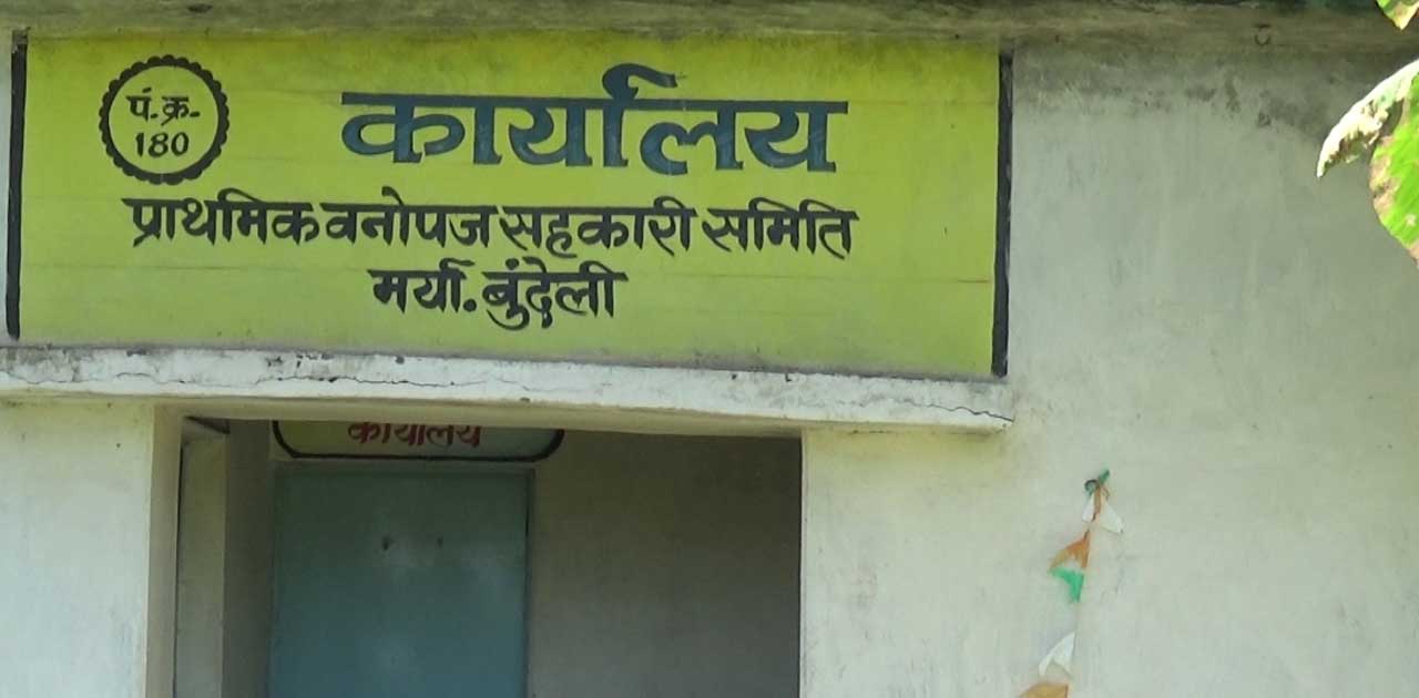 वन रक्षक  पर भुगतान राशि में धांधली और नाबालिग बच्चों से कार... - CG Sandesh