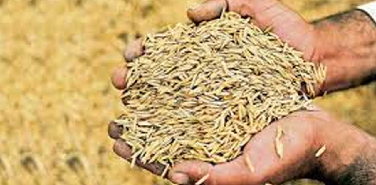 13 समितियों के 2366 किसानों ने करवाया पंजीयन, किसानों की संख... - CG Sandesh