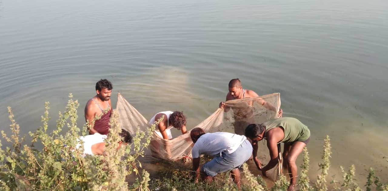 भारत स्वाभिमान के सदस्यों ने  अमृतम जलम के तहत किया तालाब की... - CG Sandesh