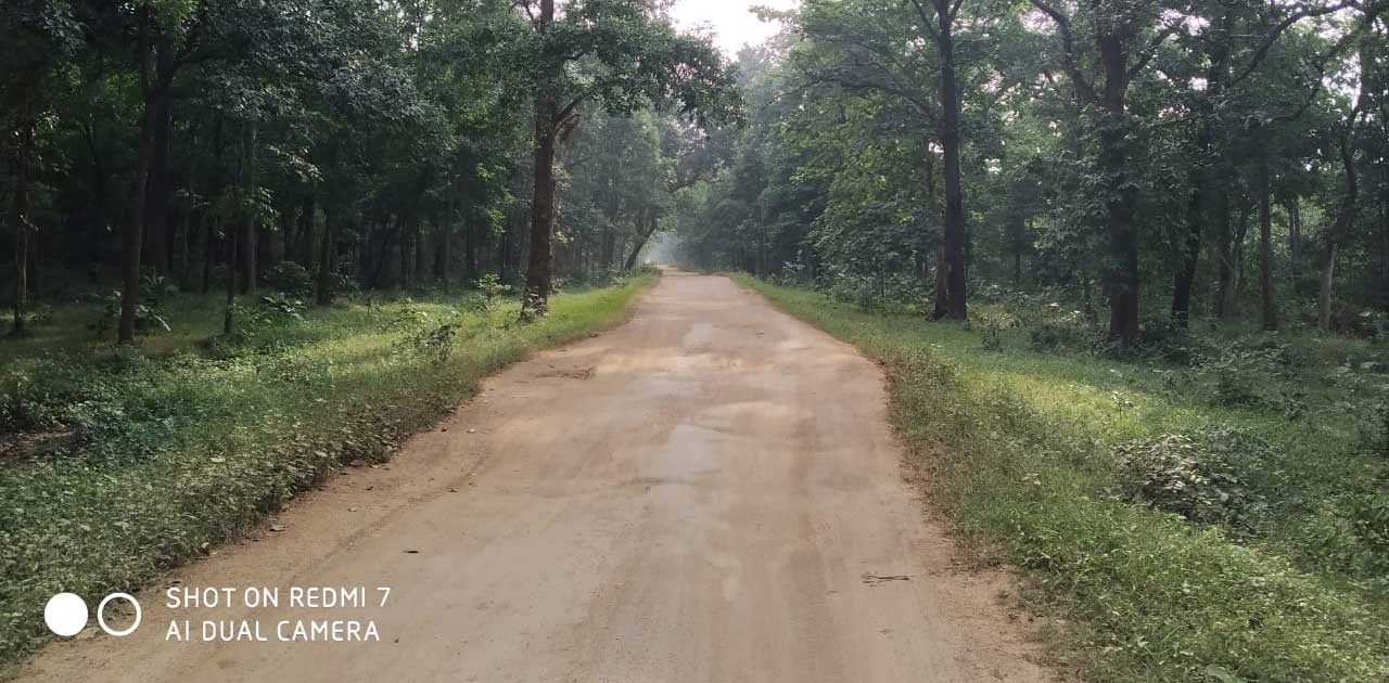 बार नयापारा मार्ग जर्जर, रायतुम से रवान की दूरी 10 किलोमीटर,... - CG Sandesh