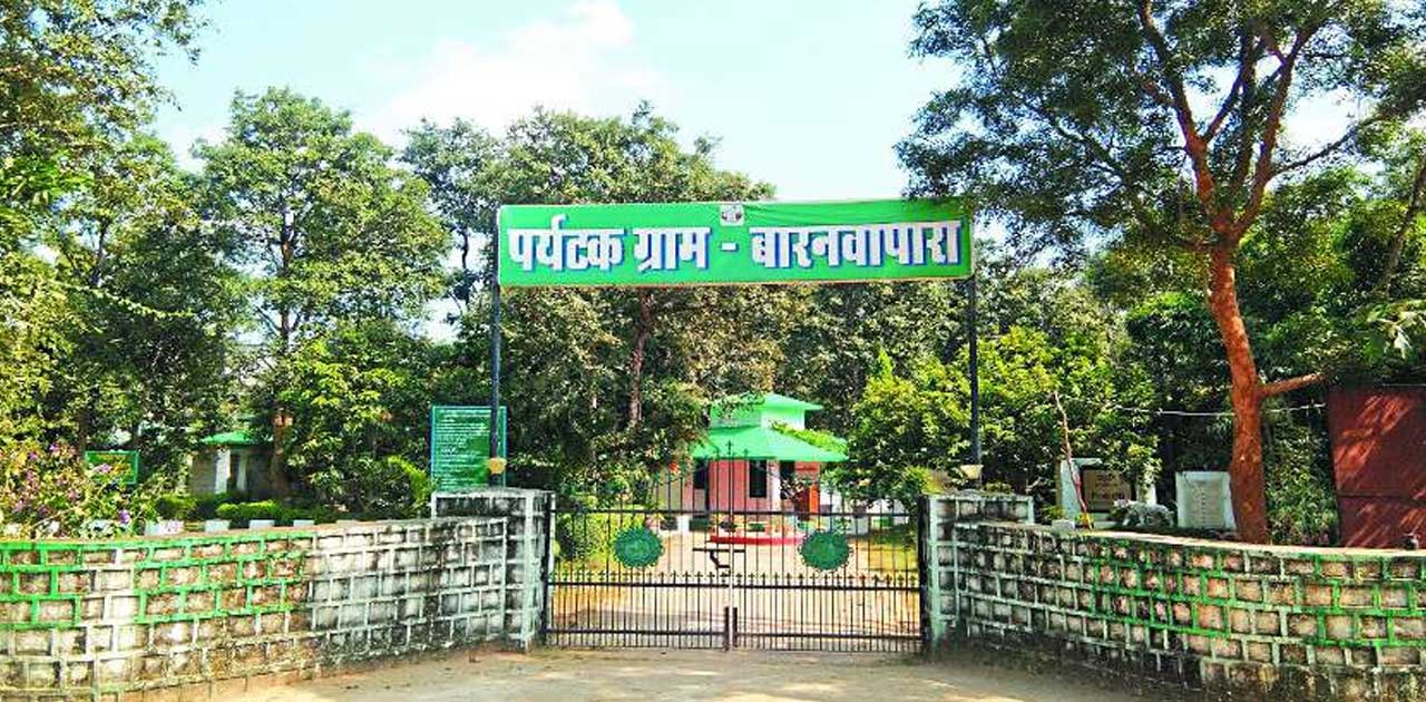 अभ्यारण्य क्षेत्र में पेड़ो की अवैध कटाई कर  की जा रही खेती, ... - CG Sandesh