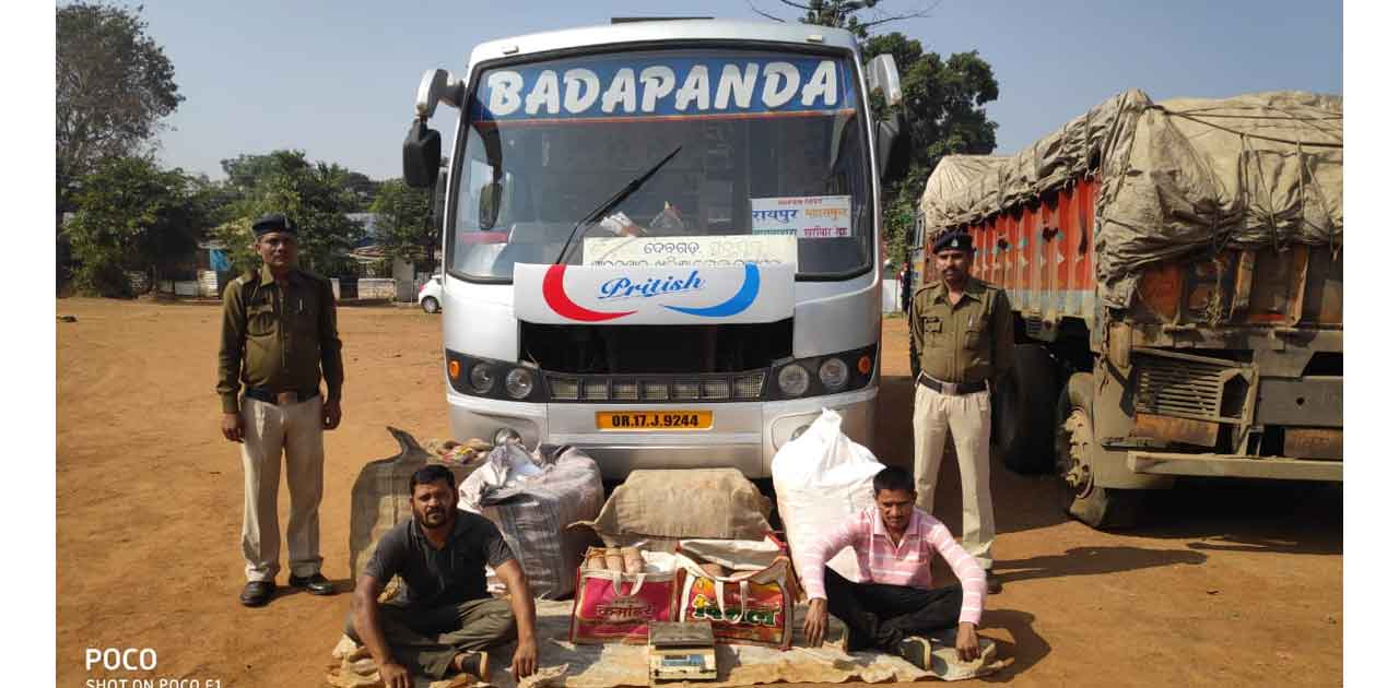 सवारी बस से 16 किलो गांजा बरामद - CG Sandesh
