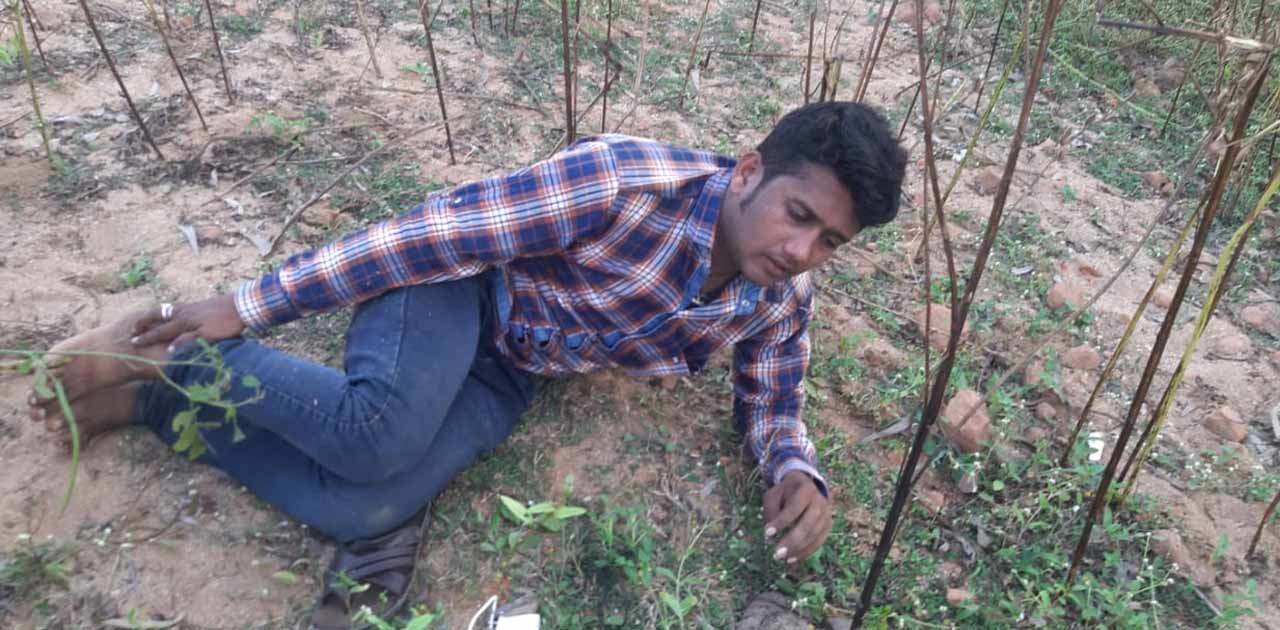 सीसी कैमरा की मदद से 2 लाख की चोरी हुई नाकाम, मोबाईल एप में ... - CG Sandesh
