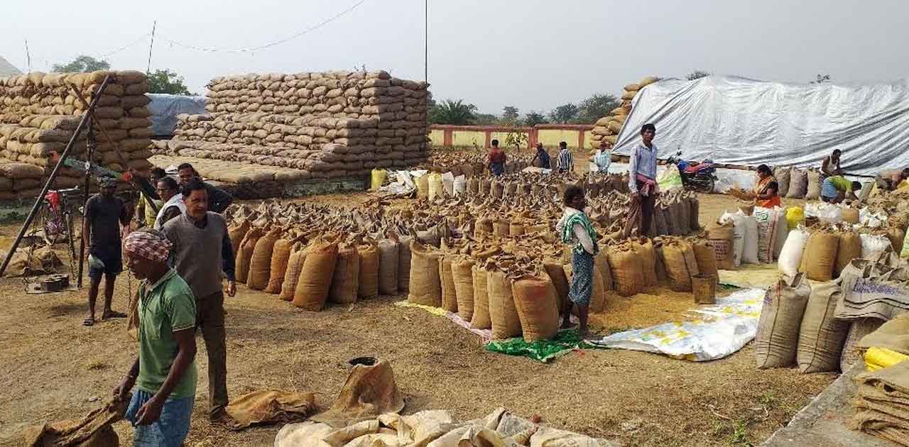 बफर लिमिट से चार गुना अधिक हो चुकी है धान खरीदी, बावजूद नहीं... - CG Sandesh