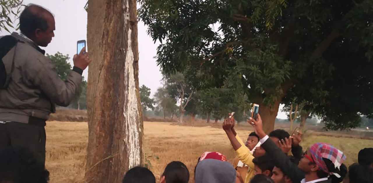 पौंसरा के नीम वृक्ष से निकल रहा दूध!, लोगो ने पूजा पाठ शुरू ... - CG Sandesh