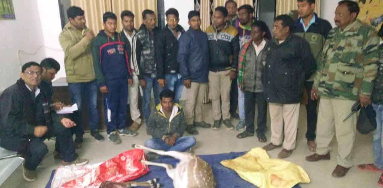 वाहन तलाशी के दौरान वनपरिक्षेत्र के कर्मचारियों को डिक्की से... - CG Sandesh