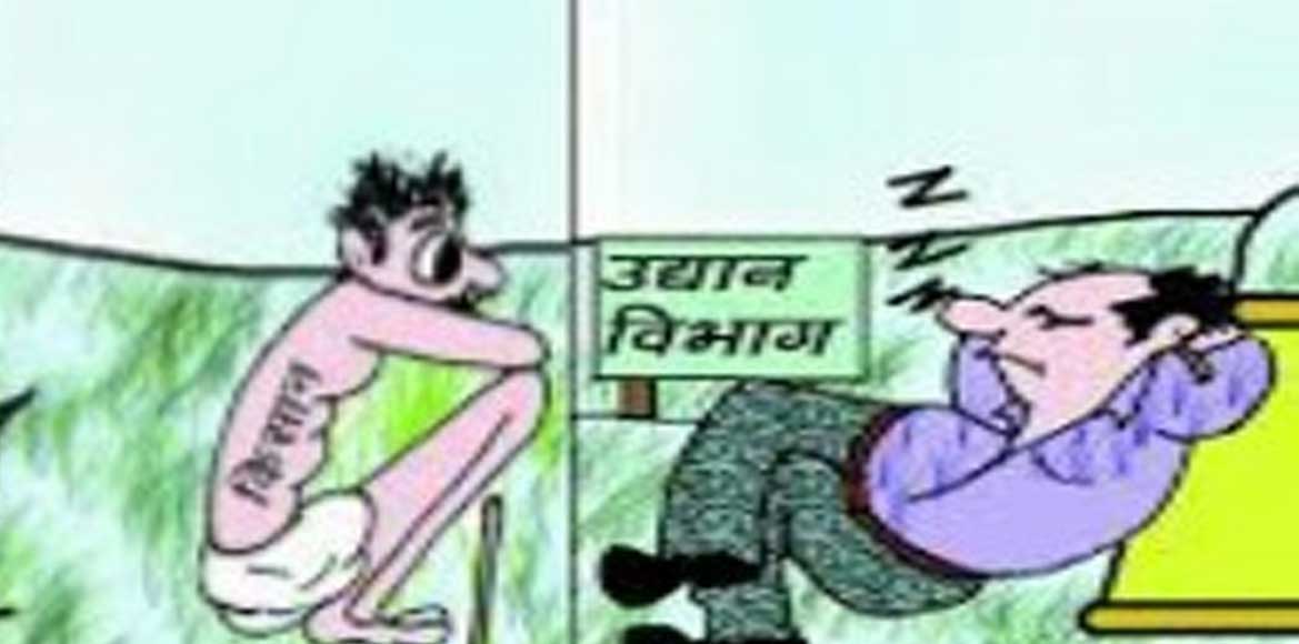 उद्यानिकी विभाग की योजनाओ  से बसना ग्रामीण क्षेत्र के किसान ... - CG Sandesh
