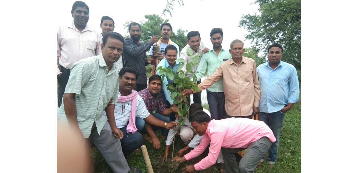 तेली युवा मंच फुलझर अंचल बसना द्वारा किया गया वृक्षारोपण  - CG Sandesh