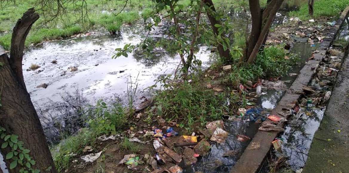 फिल्टर प्लांट के बाद गंदे पानी का गार्डन में होगा उपयोग, नगर... - CG Sandesh