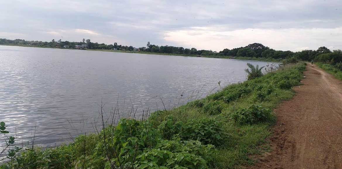4 जलाशयों की प्यास बुझी, 10 अभी भी प्यासे : किसानों को जलाशय... - CG Sandesh