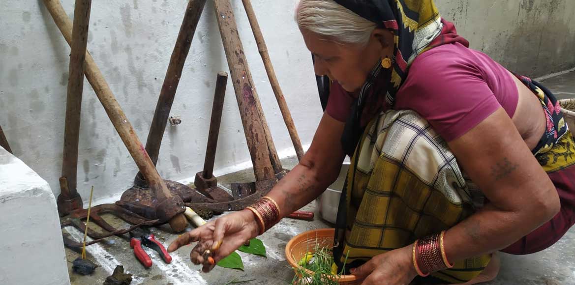 अंचल में धूमधाम से मनाया गया हरेली का त्यौहार, सभी कृषि उपकर... - CG Sandesh