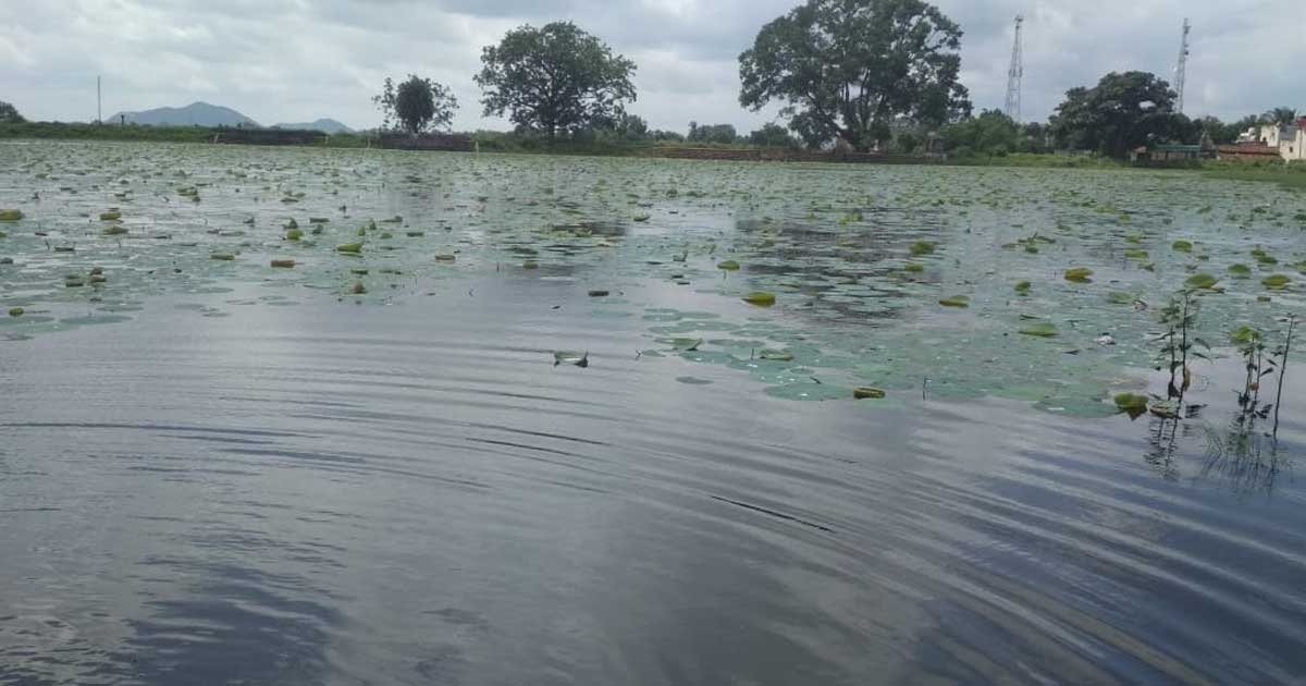 मछली पालन ठेका में मनमर्जी का आरोप, फायदे के लिए अपने भाई को... - CG Sandesh
