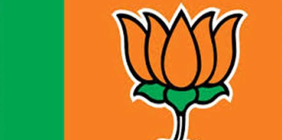 भाजपा मंडल चुनाव के लिए कार्यकर्ताओं में सरगर्मी तेज - CG Sandesh