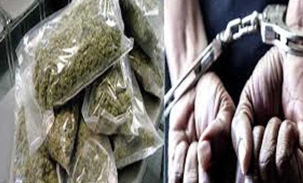 ग्राम नर्रा में 10 कि.ग्रा. मादक पदार्थ गांजा जप्त. - CG Sandesh