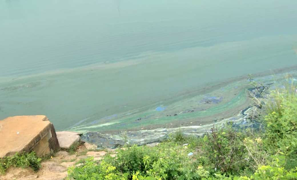 बसना : मछली चोरी करने वाले तीन व्यक्तियों को सुबह 4 बजे समुह... - CG Sandesh