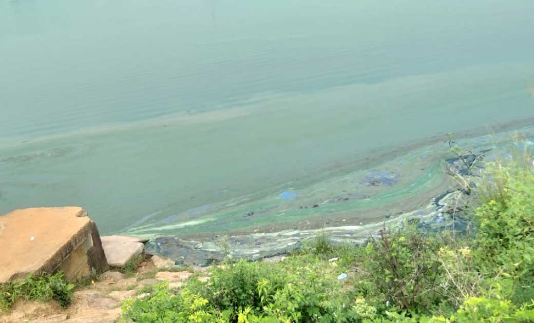 राईस मिलो के गंदे पानी से अनुपयुक्त और विषाक्त हुआ बांध, मर ... - CG Sandesh