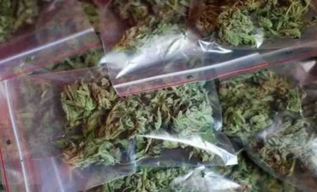 दो व्यक्तयों के पास से टाटा वाहन में रखे 25 किलो गांजा को पु... - CG Sandesh