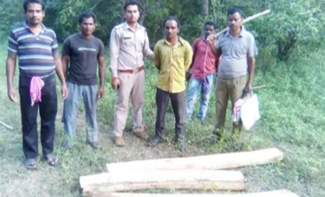 पिथौरा अर्जुनी वन परिक्षेत्र में वन विभाग की सक्रियता से तीन... - CG Sandesh