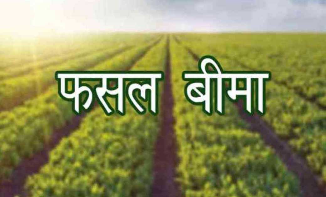 फसल बीमा योजना के तहत....उद्यानिकी फसलो के बीमा 15 दिसम्बर तक...