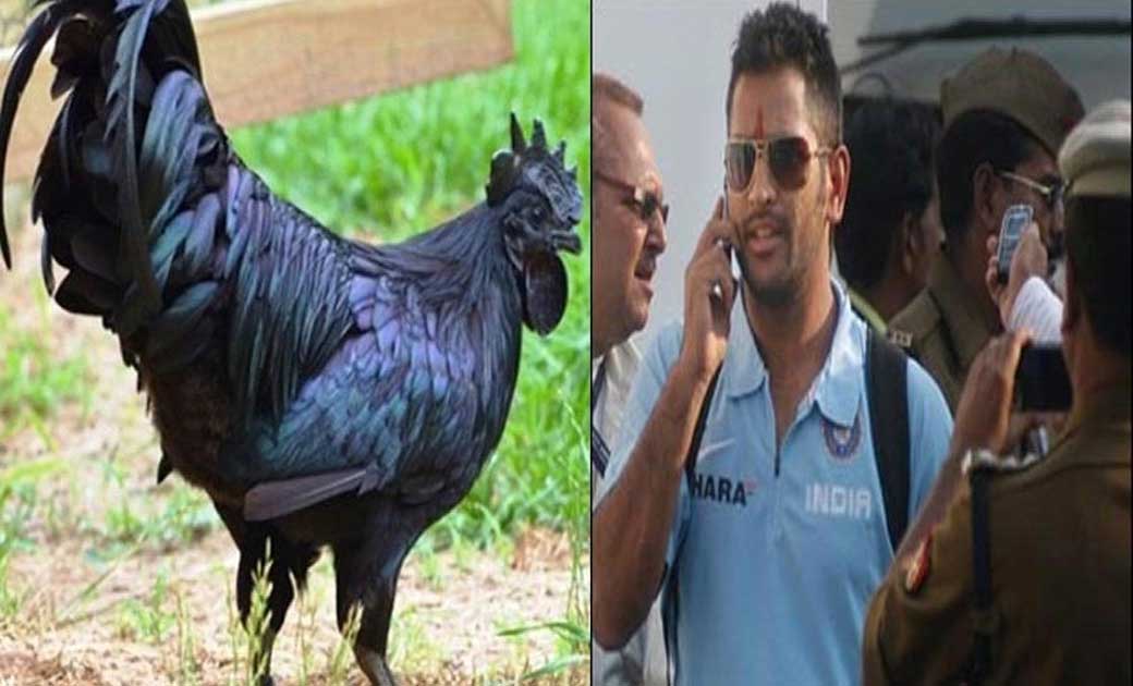 IPL के बाद नया बिजनेस शुरू करने जा रहे है महेंद्र सिंह धोनी,... - CG Sandesh