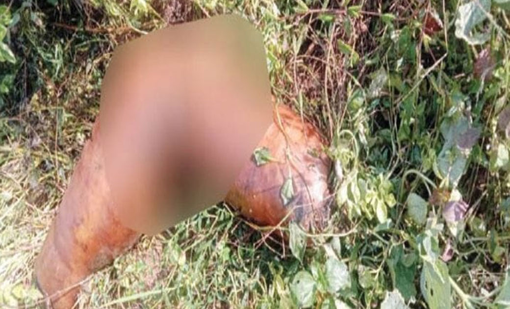 क्राईम छत्तीसगढ़:-खेत में युवती की लाश मिलने क्षेत्र में फैल ... - CG Sandesh
