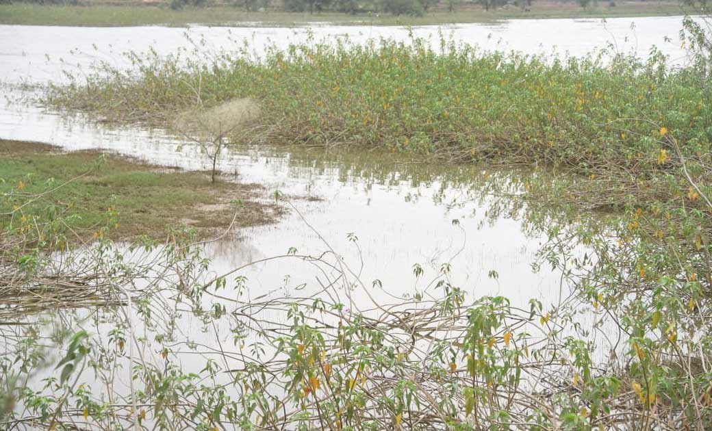 पत्नी से मारपीट के बाद समझाईस देने पहुंचे पत्नी के परिवार वालों से भी की मारपीट 