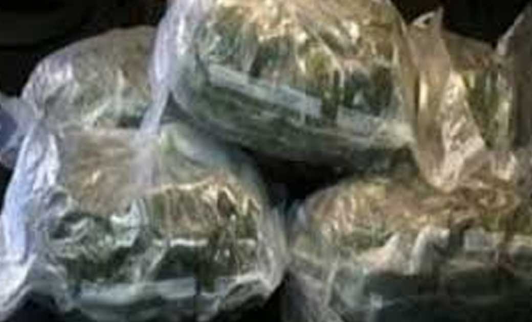 04 कि0ग्रा0 अवैध मादक पदार्थ गांजा जप्त