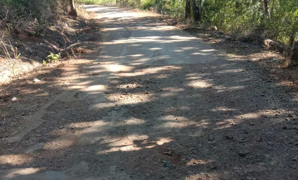 जशपुर जिला के सन्ना क्षेत्र में सड़क जर्जर होने से आंसू बहा र... - CG Sandesh