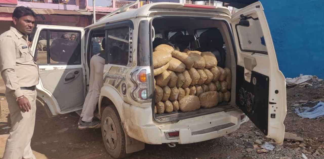 स्कॉर्पियो से कर रहे थे गांजा का परिवहन, पुलिस ने पीछा किया ... - CG Sandesh
