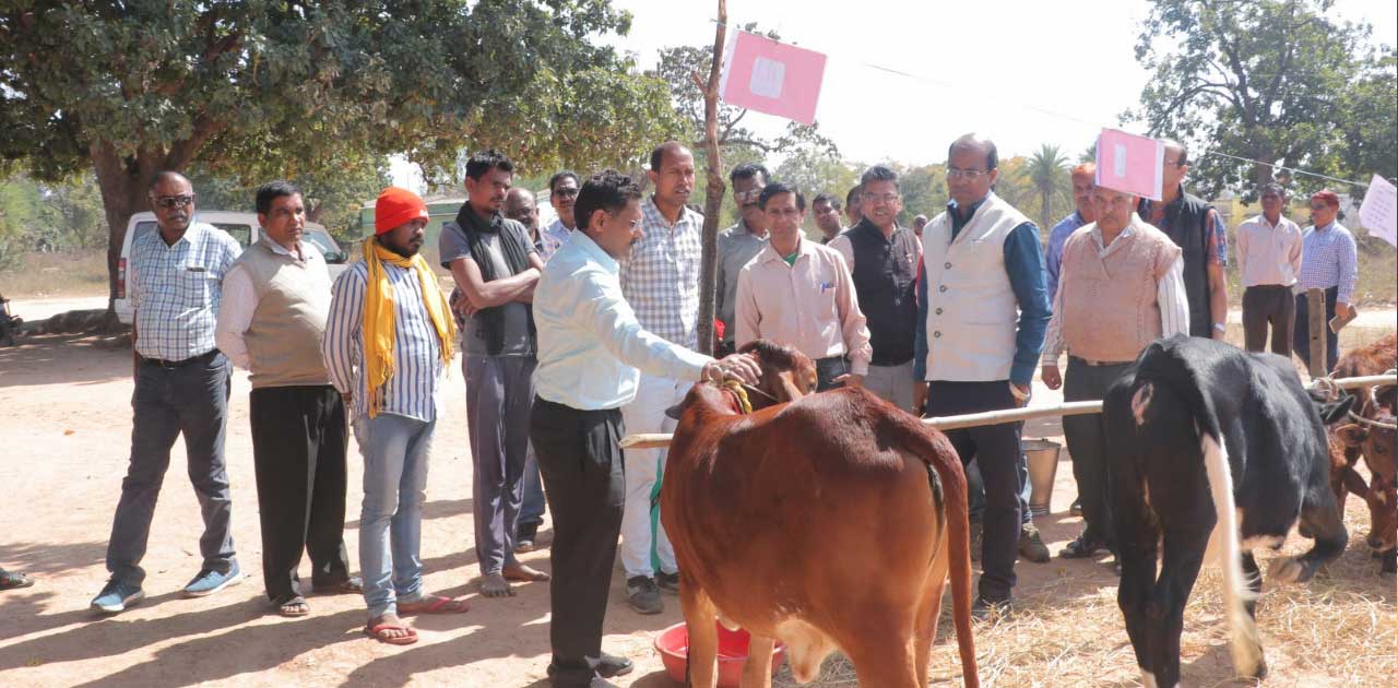 प्रभारी सचिव ने किया विकास एवं निर्माण कार्यों का निरीक्षण, सहायक पशु चिकित्सा क्षेत्र अधिकारी का एक वेतन वृद्धि रोकने दिए निर्देश
