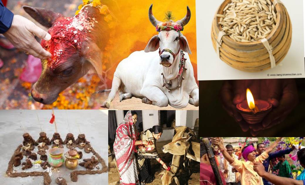 छत्तीसगढ़ ग्रामीण इलाको में आज असली दिवाली - गोवर्धन पूजा क्यों है ख़ास ?