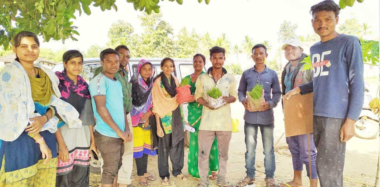 कृषि महाविद्यालय में चतुर्थ वर्ग के छात्रों ने सीखा मशरूम उगाकर पैसे कमाना
