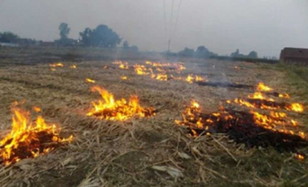 पिथौरा : तुम्हारे खेत का आग मेरे खेत में लगे लकडी के खम्भे म... - CG Sandesh