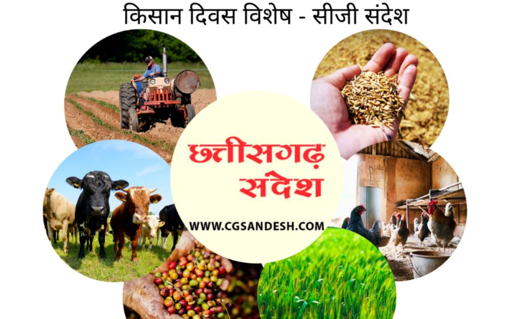 किसान दिवस विशेष : लाखो की नौकरी और विदेश छोड़ अपनायी खेती, क... - CG Sandesh