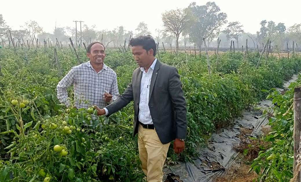 सब्जी उगाकर भागीरथी पटेल ने खरीदा ट्रेक्टर, सब्जी उत्पादन से... - CG Sandesh