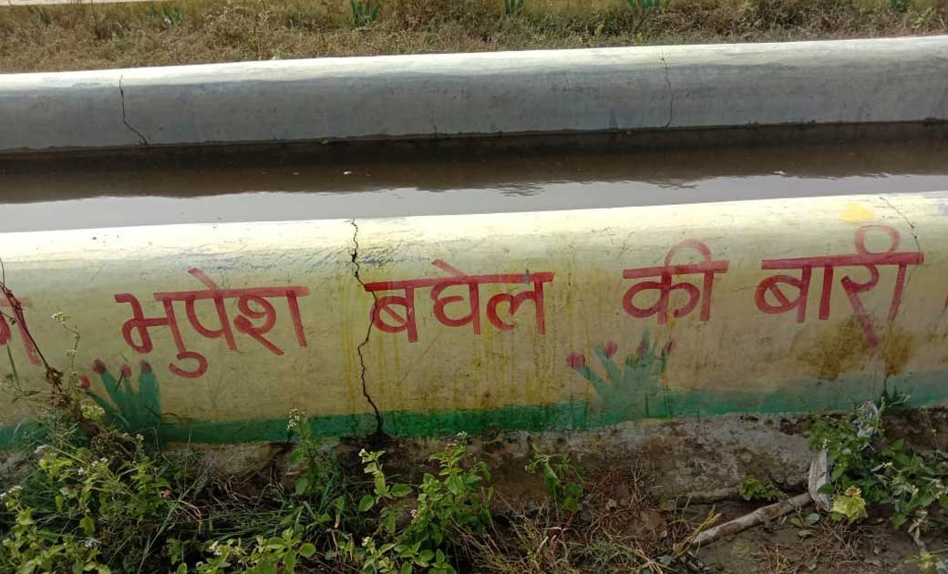 गौधन को गोठानो में नही दिया जा रहा घुसने, साग सब्जियों के स्... - CG Sandesh