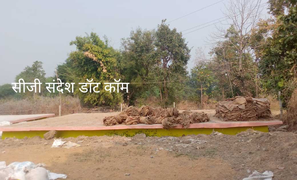 बसना : धामनघुटकुरी में धान चबूतरा हुआ अनूपपयोगी, जानिए क्या ... - CG Sandesh
