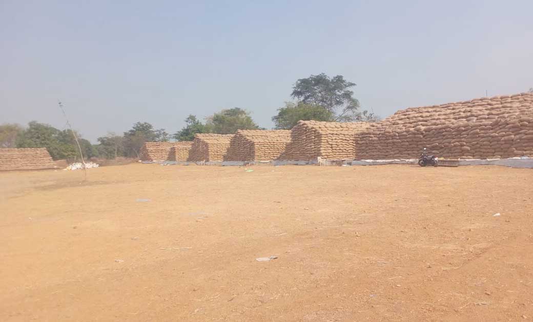 बसना : बाराडोली पथराला में बारदानों की कमी से किसान परेशान, ... - CG Sandesh