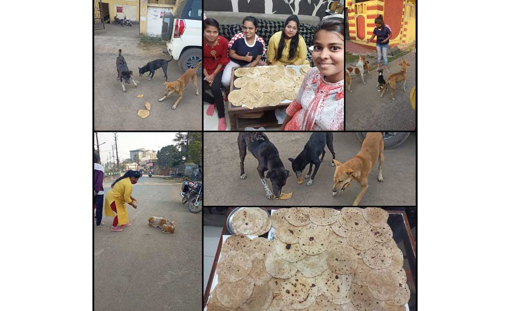 संक्रमित कुत्तों की मददगार बनकर सामने आयी शहर की चार युवतियां, 60 बेजुबानों को रोटी में दवा मिलाकर दी गई दवा...बनी मिशाल