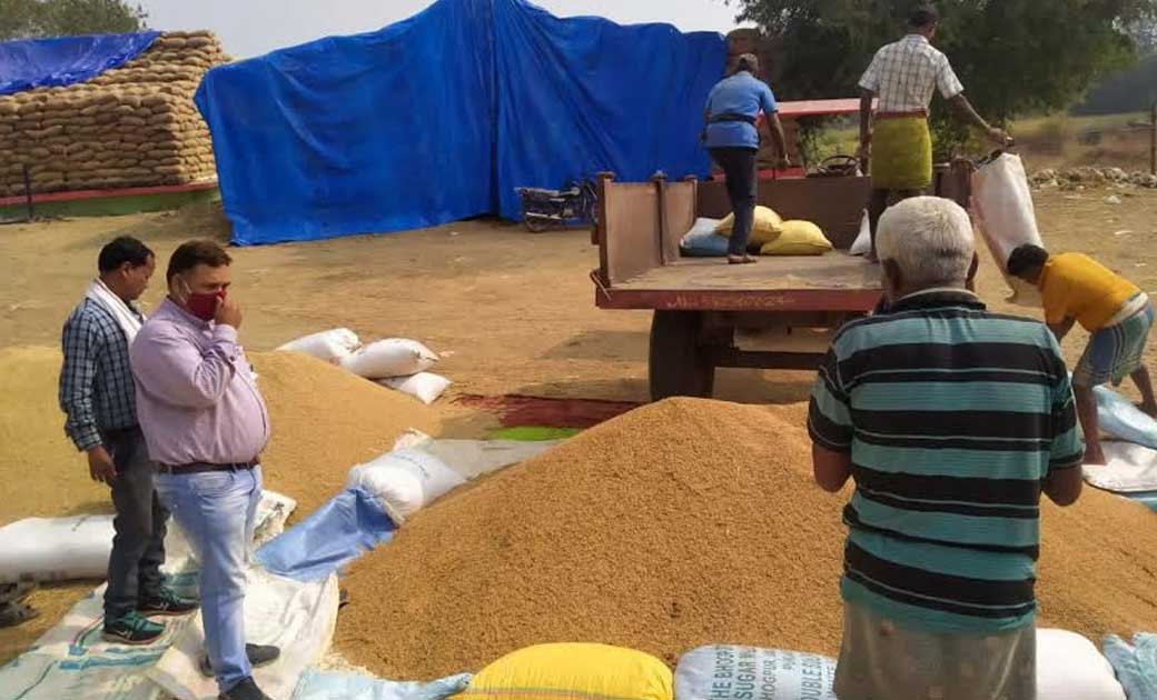 पिथौरा : ग़लत तरीक़े से धान बेचने पर 30 क्विंटल धान जब्त  - CG Sandesh