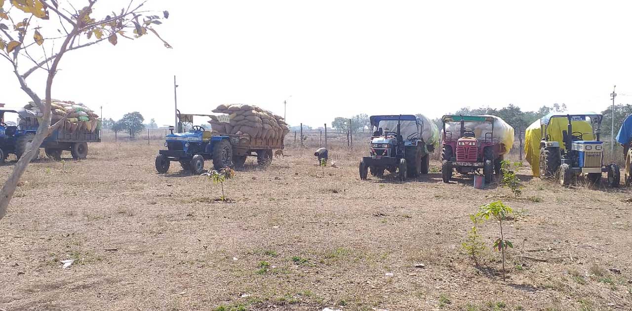 6 ट्रैक्टरों को धान सहित किया गया जप्त, मंडी और सरायपाली बलौ... - CG Sandesh